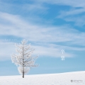 cover-graduate